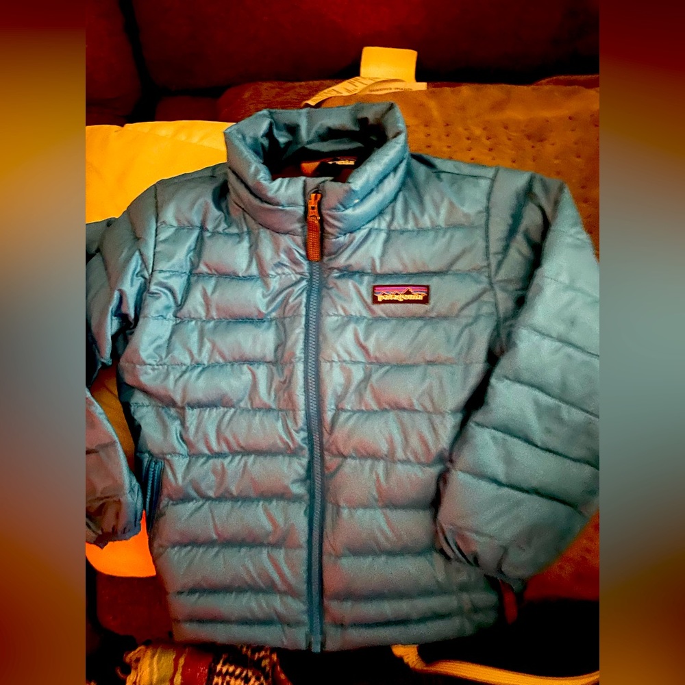 Patagonia puffer